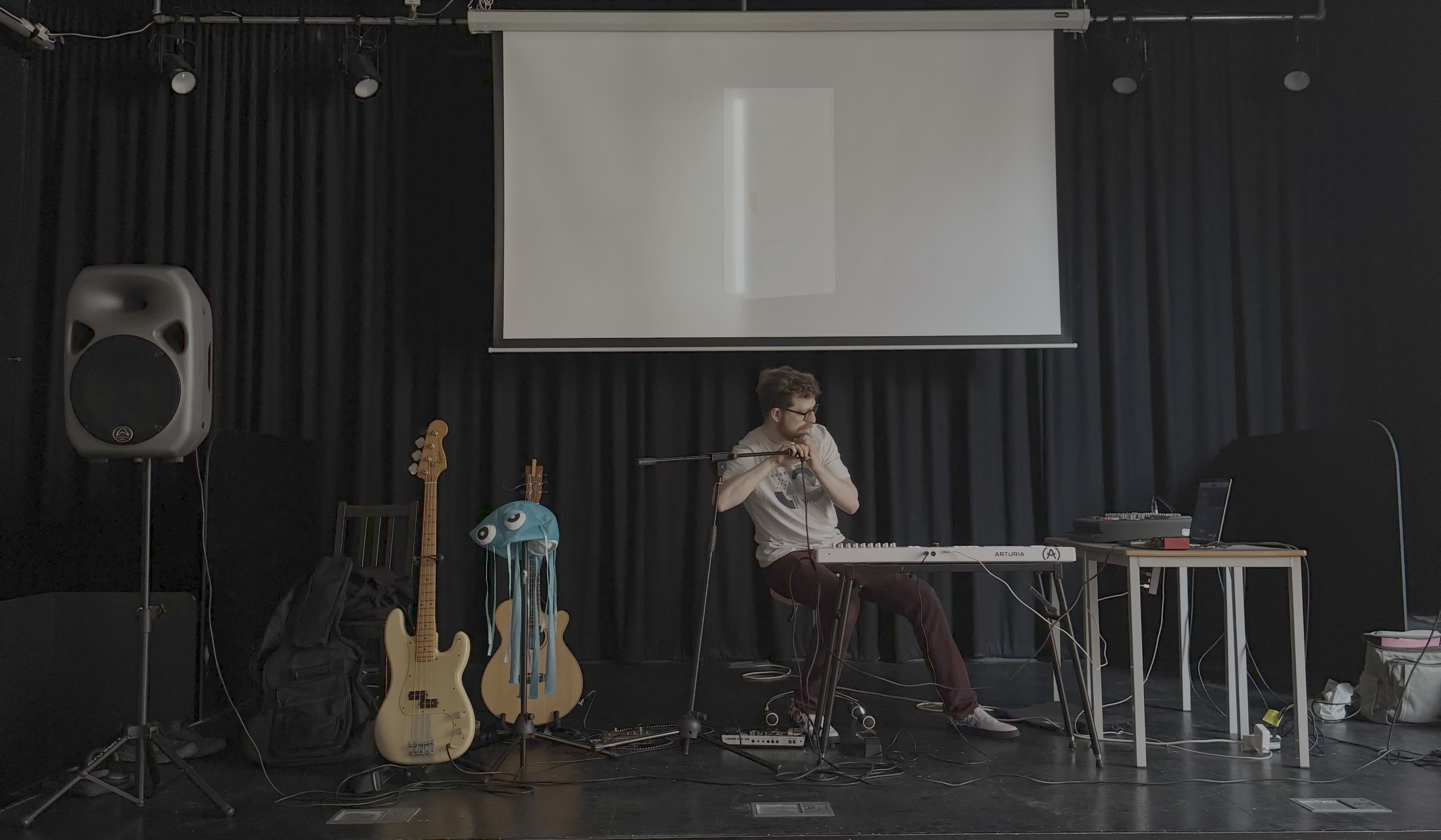 Bristol Folk House gig photo 8, cropped for intro