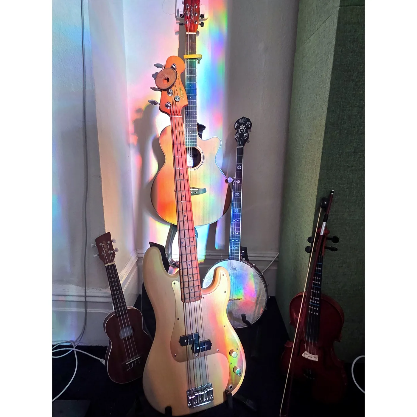 Guitars, bass, banjo, ukulele and violin in studio light